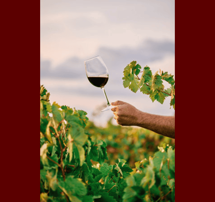 196291809-um-tiro-vertical-de-uma-pessoa-segurando-um-copo-de-vinho-na-vinha-sob-a-luz-do-sol (1)